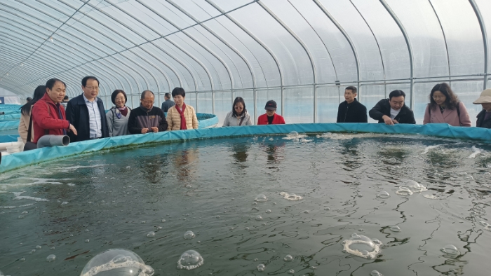 丹江口市文學采風4